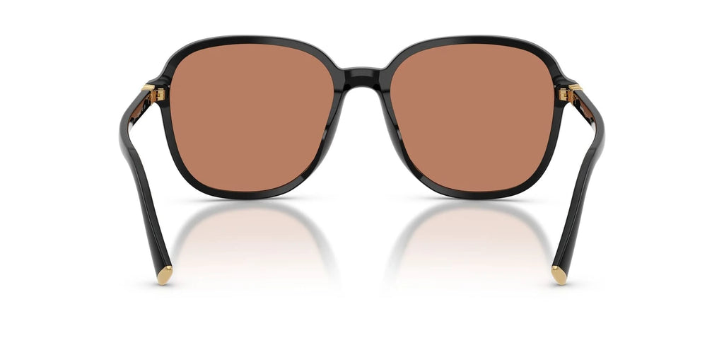 Sunglasses OMU BO1S - Black with Brown Lens