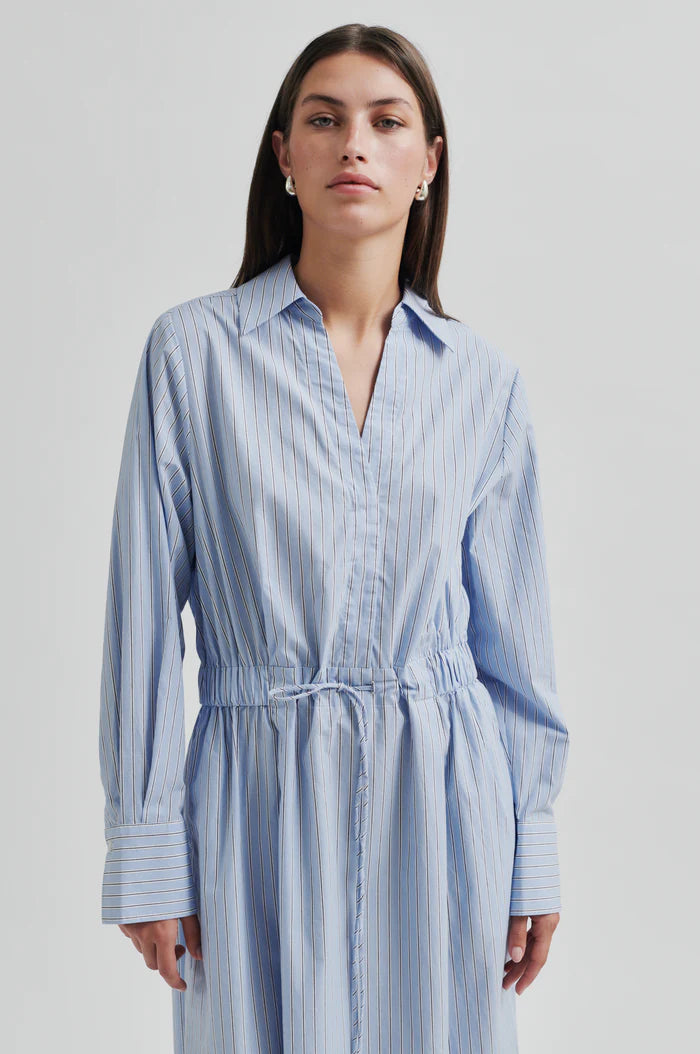 Alanis Stripe Dress