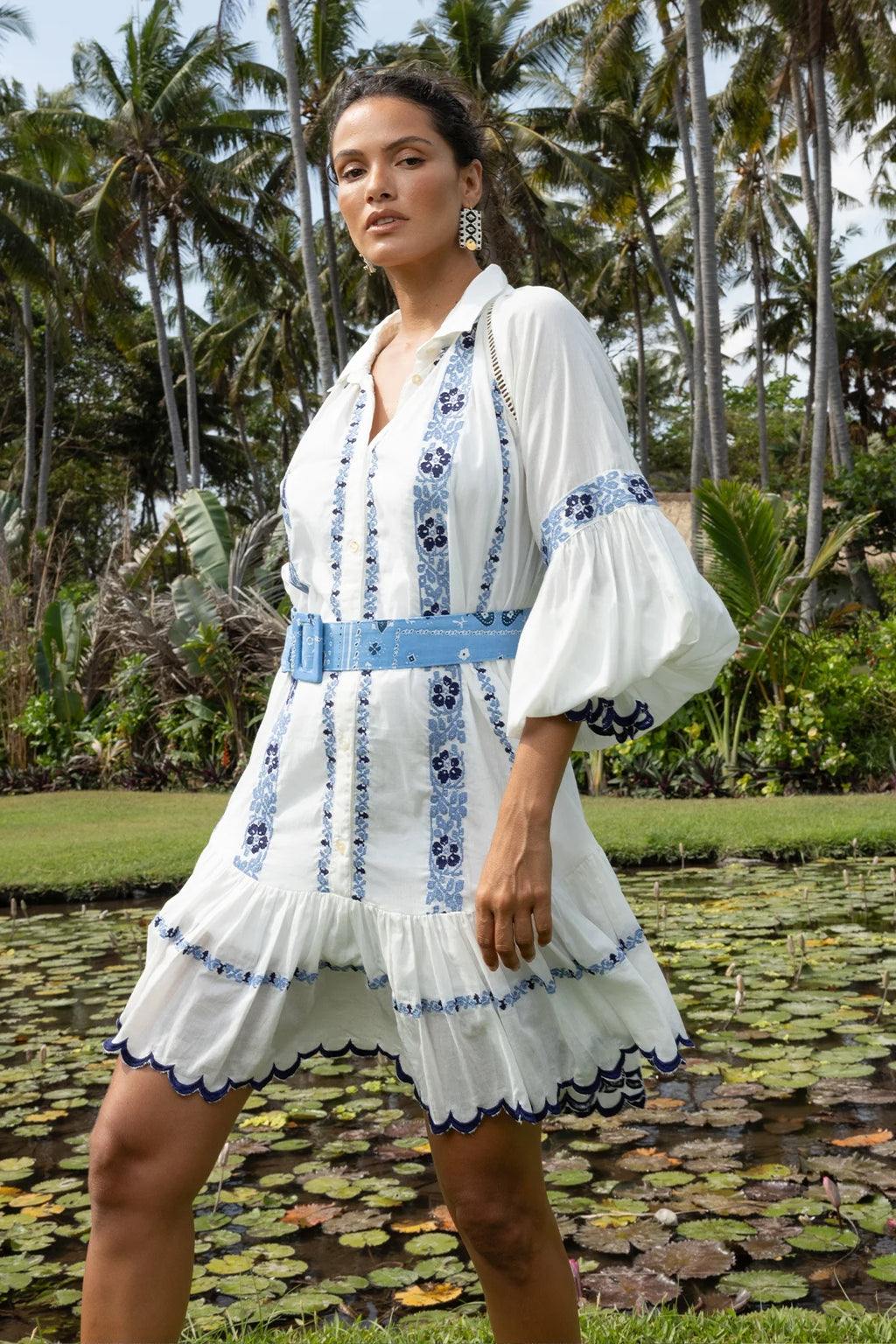 Belle rose Dress