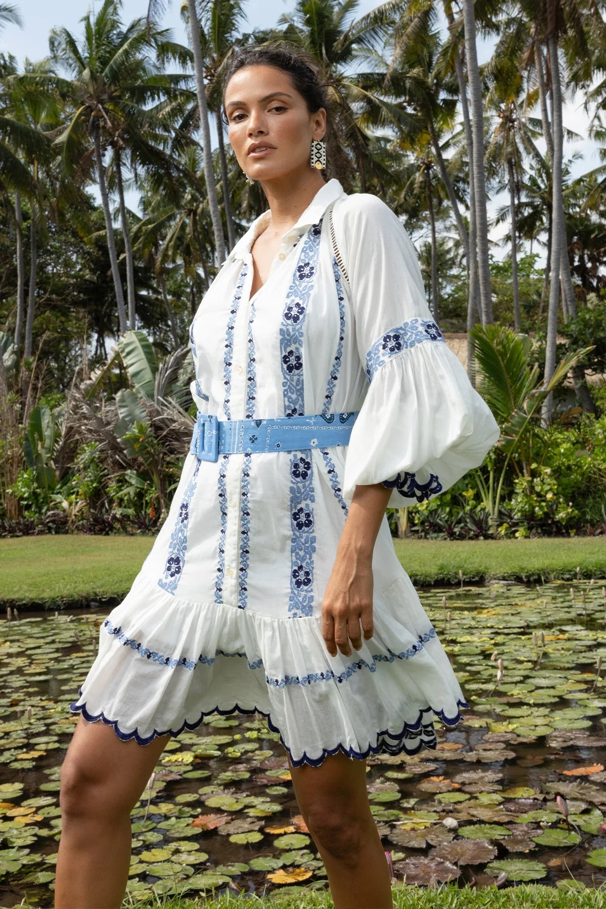Belle rose Dress