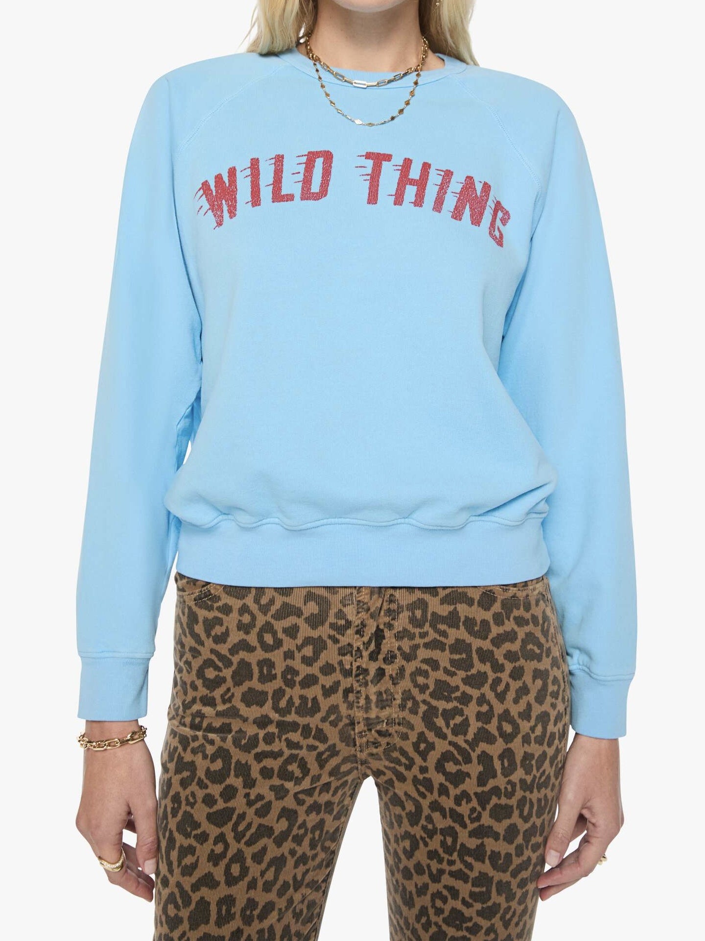 The Concert - Wild Thing