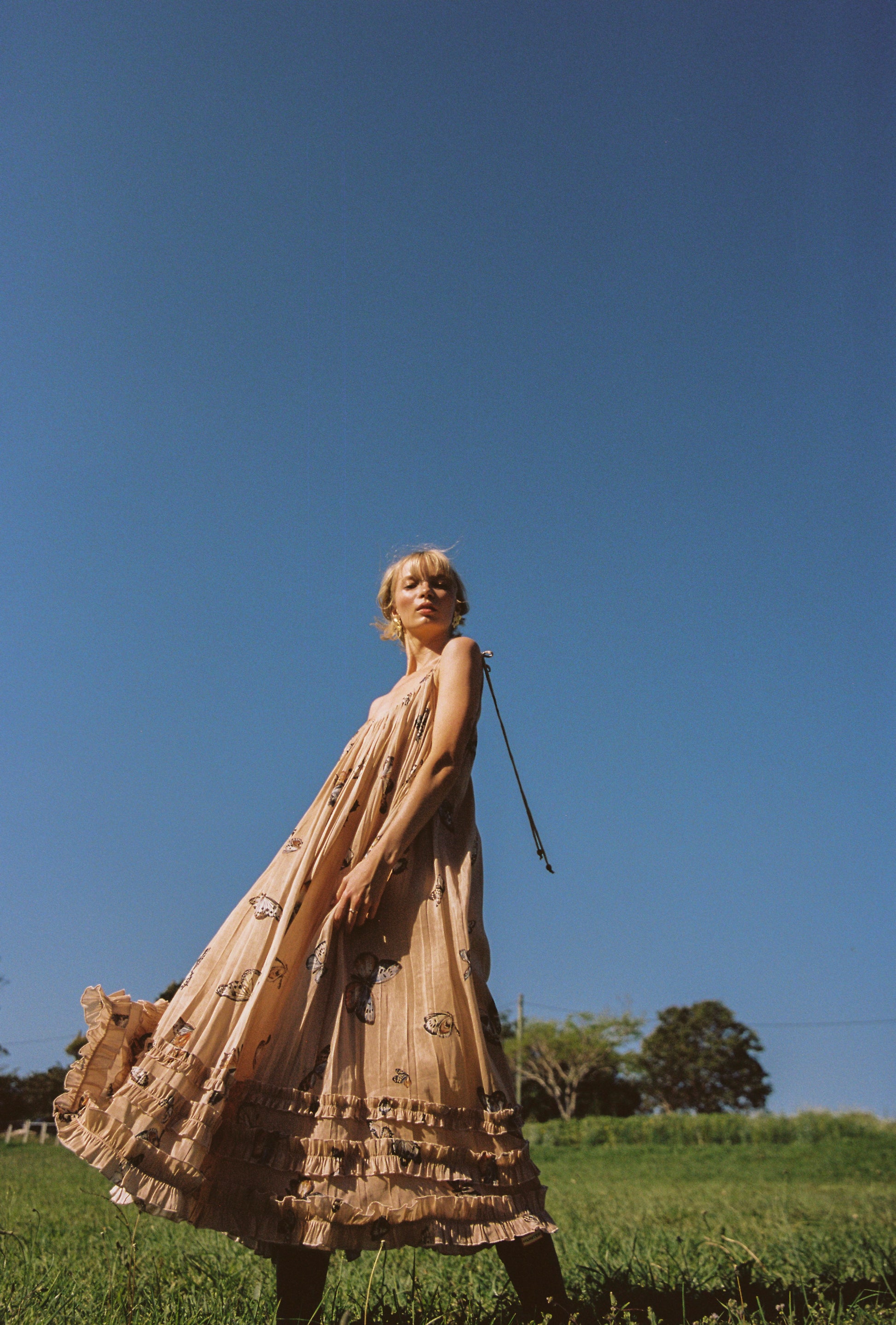 Papillon Sundress