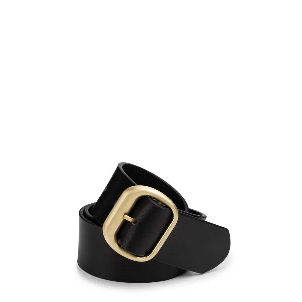 Salerno Belt