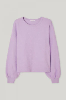 Boby Sweatshirt - Parma