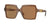 Sunglasses 4441 - Brown w Orange Metallic