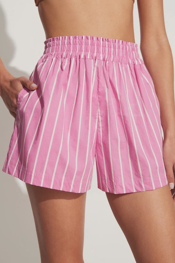 Elva Shorts  Lilac Stripe